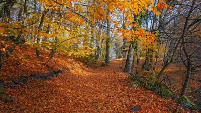 Осенние листья смотреть онлайн