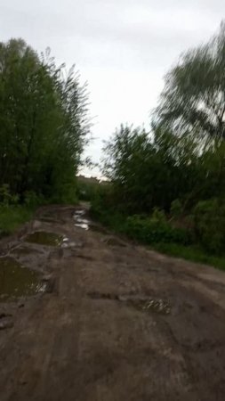 по кочкам