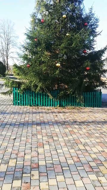 21 декабря 2024 г. смотреть онлайн