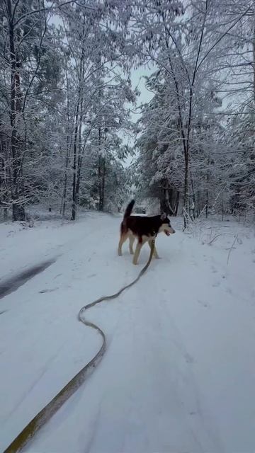 4 апреля 2025 г. смотреть онлайн