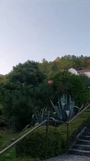 Краснодарский край 2023 сентябрь смотреть онлайн