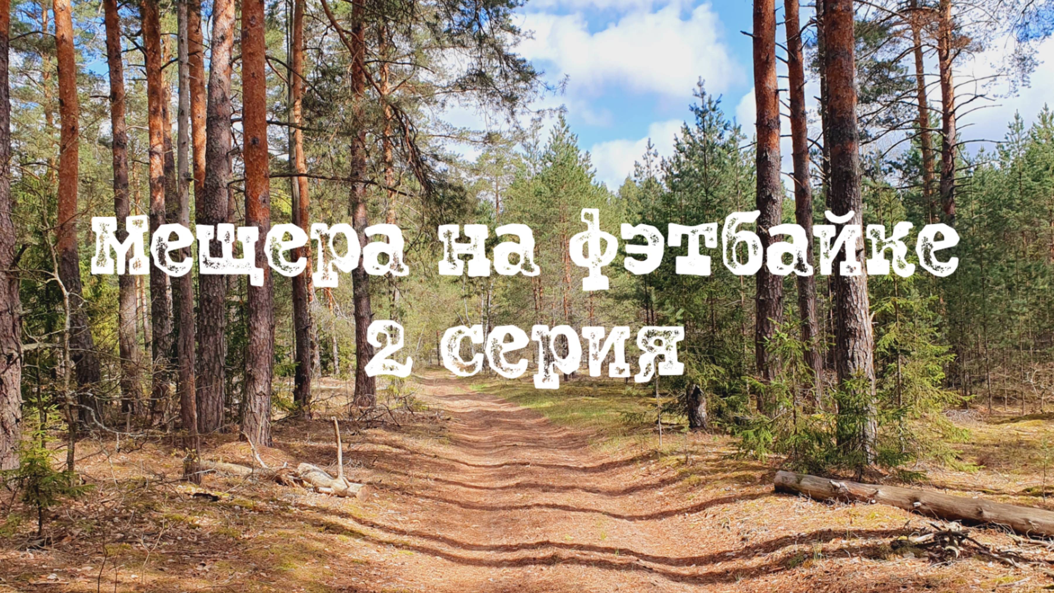 Мещера на фэтбайке Петушки - Туголесский Бор 2 серия