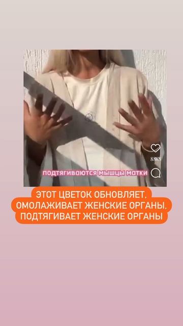 ЦВЕТОК, который ОМОЛАЖИВАЕТ ЖЕНСКИЕ ОРГАНЫ, ПОДТЯГИВА смотреть онлайн