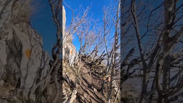Гора Бештау, Пятигорск, подъём через Лисий нос.