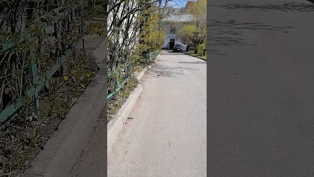 ул. Пограничника Гарькавого