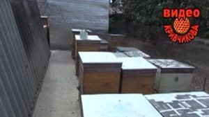 15 сентября готовим семьи