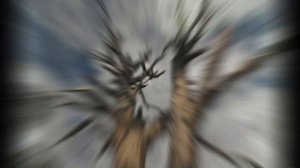 ГОЛЫЕ СУЧКИ 18+