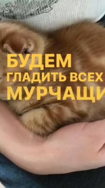 #рек #р.е.к.о.м.е.н.д.а.ц.и.и # пжврек #люблювас  #люблюмаму