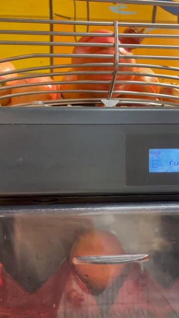 Израиль. Автомат где делается сок из граната смотреть онлайн