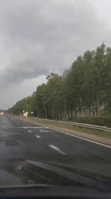 Березы. смотреть онлайн