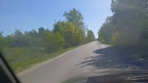 АВТОПРОГУЛКА ПО ЛЕСУ ЗА ГУСЯТАМИ