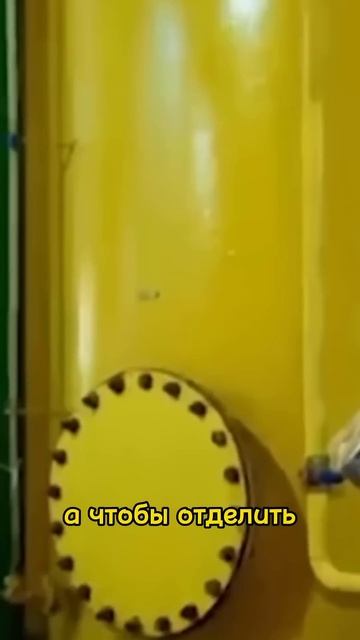 Самый Ядовитый Продукт на Кухне #другая_кухня #рецепт # смотреть онлайн