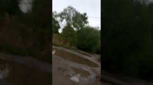 Улица Низовая