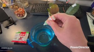 Новые орхидеи. Распаковка