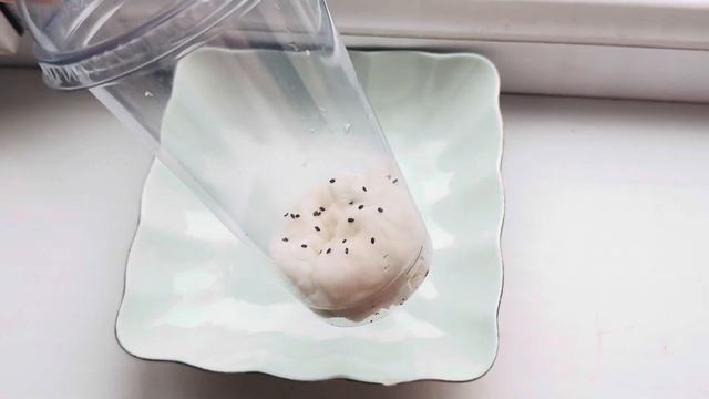 Как ВЫРАСТИТЬ КИВИ 🥝 ДОМА.100% РЕЗУЛЬТАТ смотреть онлайн