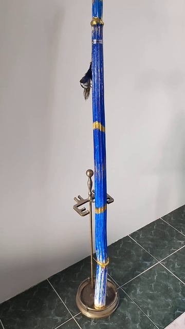 посох дождя Rainstick рейнстик борщевик смотреть онлайн