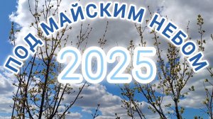 ПОД МАЙСКИМ НЕБОМ 2025 ГОДА