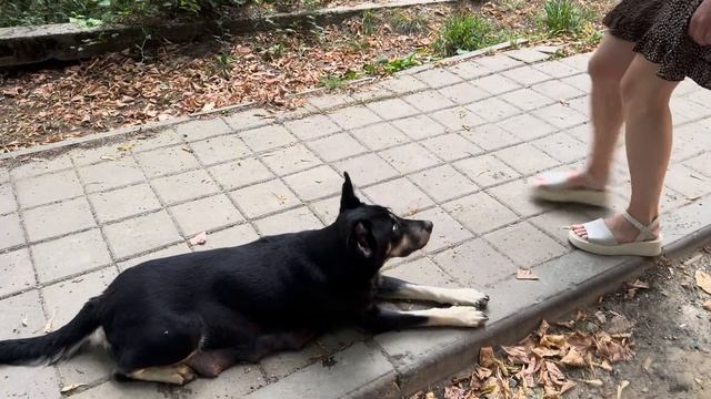 Отдых в Сочи | Встреча с интернет-подругой смотреть онлайн