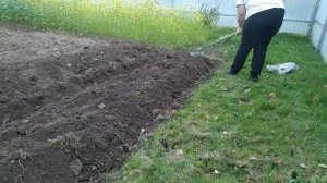 Готовим Грядки Под Озимый Чеснок И Лук!!!