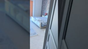 1000027279.mp4