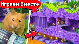 Умный Хомяк в лабиринте Соника 🐹 Сложный лабиринт в стиле игры СУПЕР СОНИК 🐹 Видео для детей