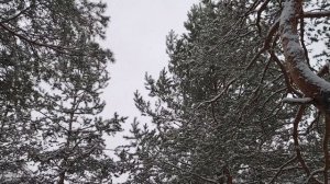 Стоит ли избегать конфликтов?