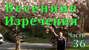 Современные изречения.  Повседневных мысли короткие поговороки,  афоризмыЧасть 36