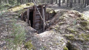 Короткий выезд в лес с МД.