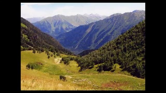 Пикник - Полететь бы за леса - горы