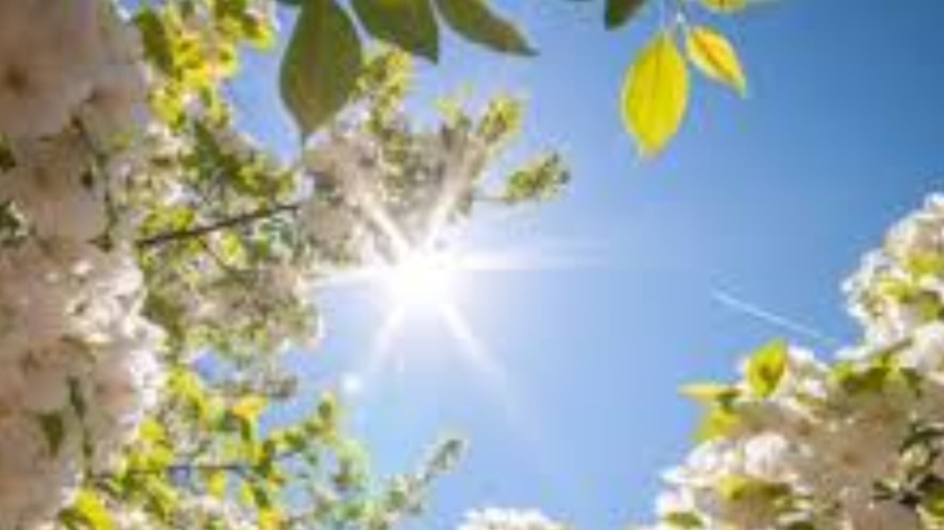 СП Носочки с Таней 2025 Апрель Носочки из остатков смотреть онлайн