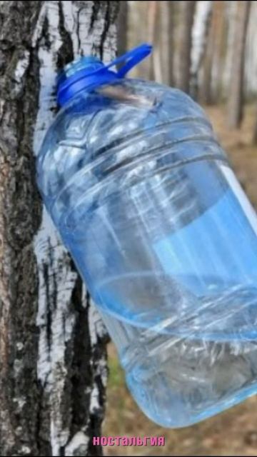 Советский берёзовый сок #shorts смотреть онлайн