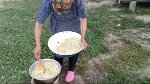 Мёд из цветков бузины⭐ против многих болезней