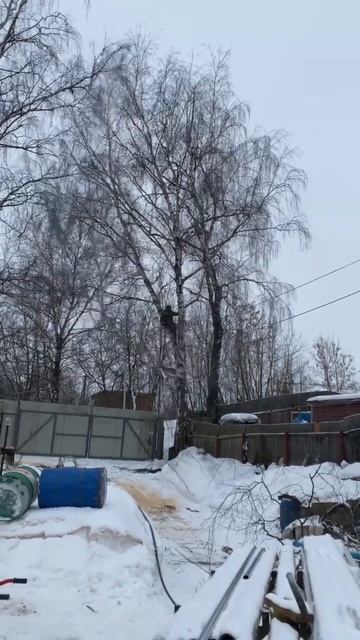 удаление березы мос. область www.ruspil.ru смотреть онлайн