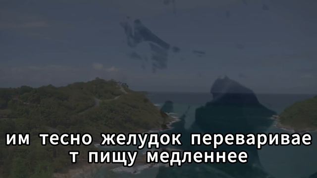 😱 СМЕРТЕЛЬНАЯ ОШИБКА УТРОМ! 90% пожилых совершают ее, Н