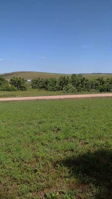 10.07.2024 Село Русский Кандыз Оренбургской области смотреть онлайн