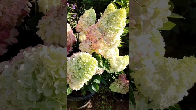 9 декабря 2024 г. смотреть онлайн