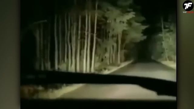 Как ТАКОЕ ВОЗМОЖНО!? Если Бы Эти Видео не Сняли на Каме? смотреть онлайн