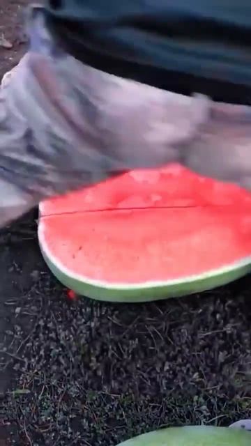 Китайцы выбирают и едят свежие фрукты в саду(странно п смотреть онлайн