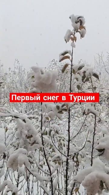 Первый снег в Турции смотреть онлайн