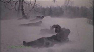 Война! Она не обошла меня! Стихи Ольги Сухина