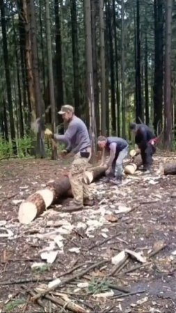 ПОРУБАС # 41 02.05.25 МИТИНО (ИННА, ФЕДОР, АЛЕКСАНДР, АЛЕКСЕЙ, АЛЕКСАНДР, ИЛЬДАР)
