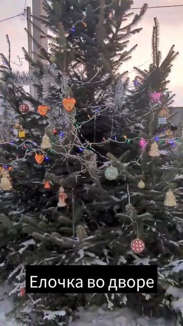 Приморский край смотреть онлайн