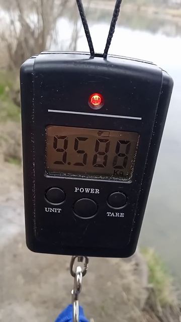 7 Апреля река Мертвый Донец Ростов на Дону смотреть онлайн