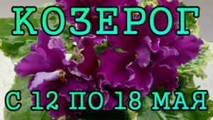 КОЗЕРОГ таро прогноз на неделю с 12 по 18 МАЯ 2025 года.