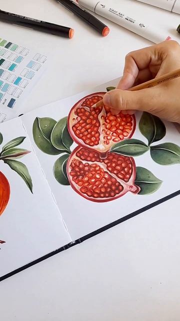 Рисую гранат маркерами ❤️🌱 #art #drawing #sketchbook #арт #рисов смотреть онлайн