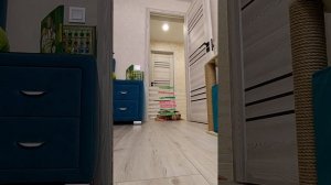бурмилка прыжок 2