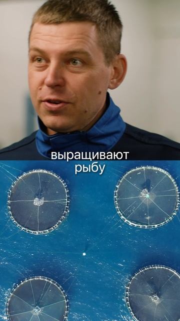 Раскрыли тайну! Зачем на атомных станциях по всей России выращивают рыбу? #рыба #рыбалка #узв смотреть онлайн