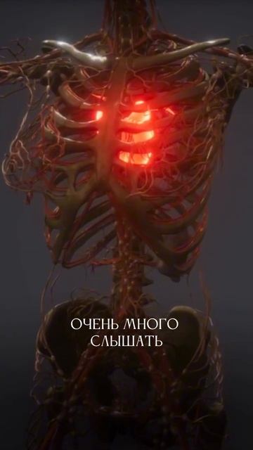 элемент в карте Ба Цзы отвечает за конкретные органы, ?