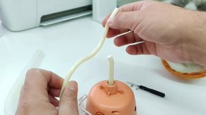 ТОТ САМЫЙ ТАНЦУЮЩИЙ КАКТУС СЛОМАН!