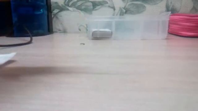 Как сделать пластари Для Басика?😊 смотреть онлайн